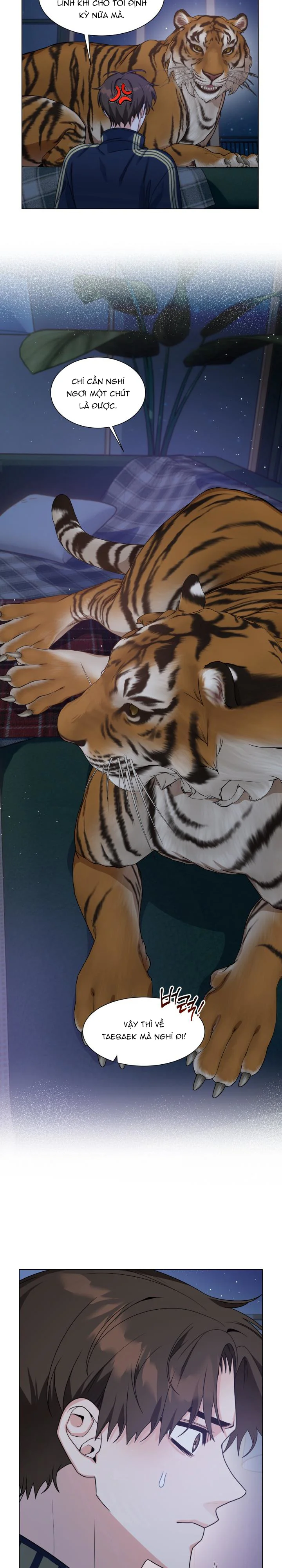 Thanh Âm Chiều Tà Chapter 21 Trang 17