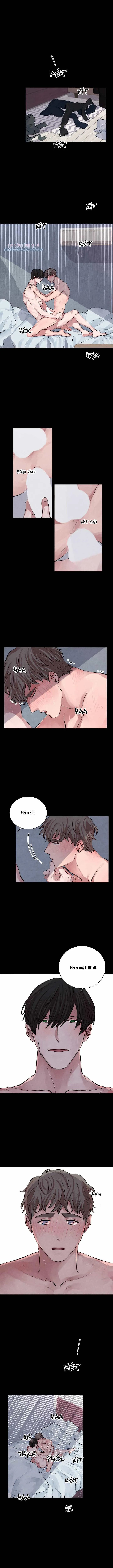 |DROP| Thanh âm của San Hô Chapter 5 Trang 3