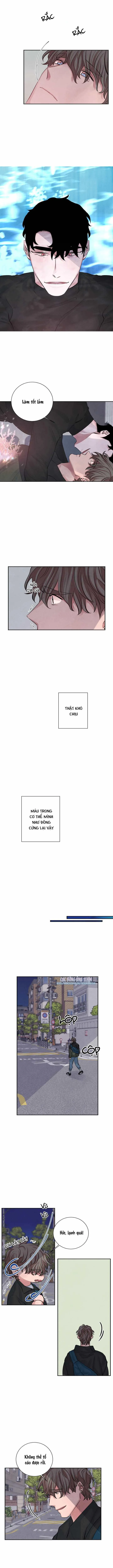 |DROP| Thanh âm của San Hô Chapter 5 Trang 6