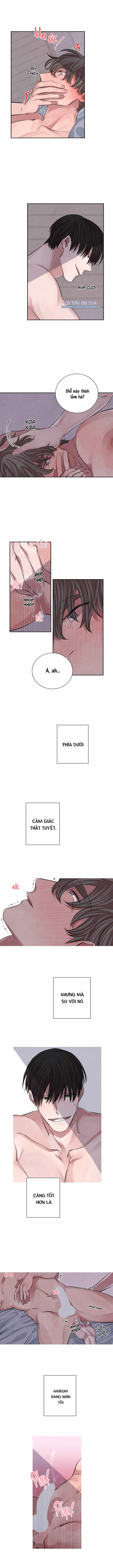 |DROP| Thanh âm của San Hô Chapter 11 Trang 8