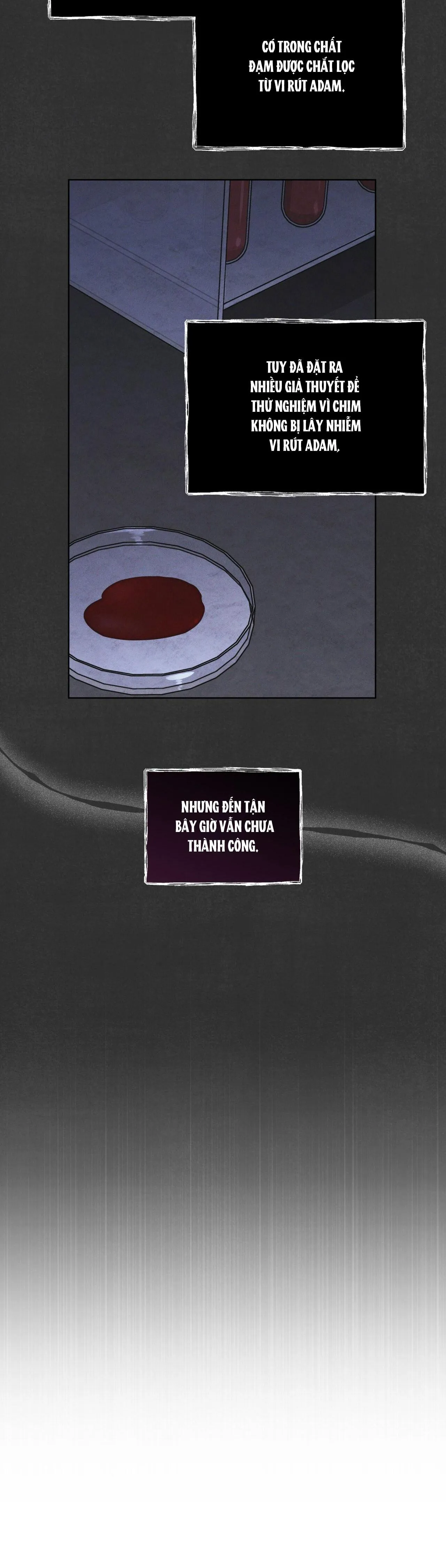 THÀNH PHỐ CẦU VỒNG Chapter 39 Trang 16