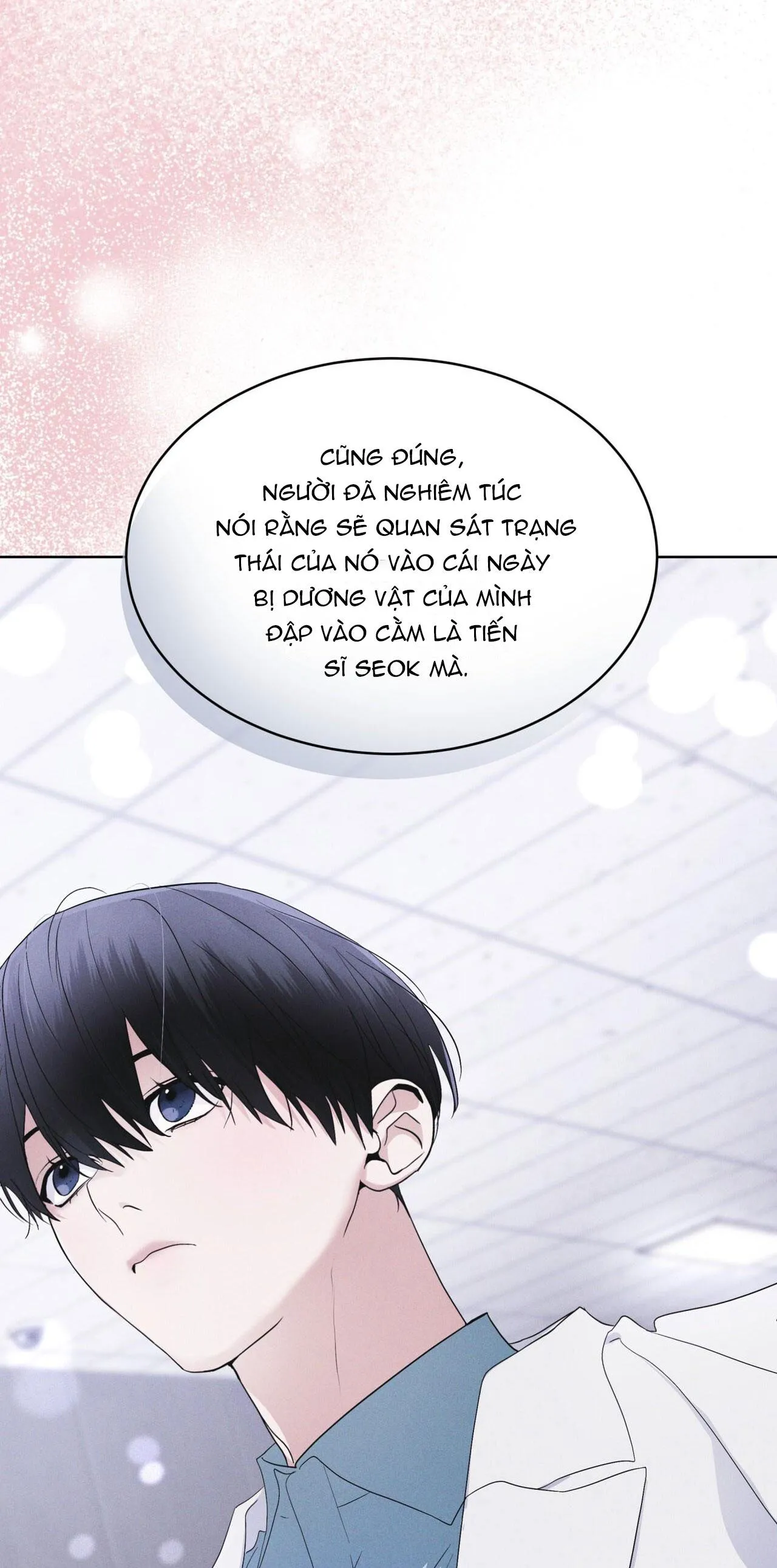 THÀNH PHỐ CẦU VỒNG Chapter 39 Trang 39