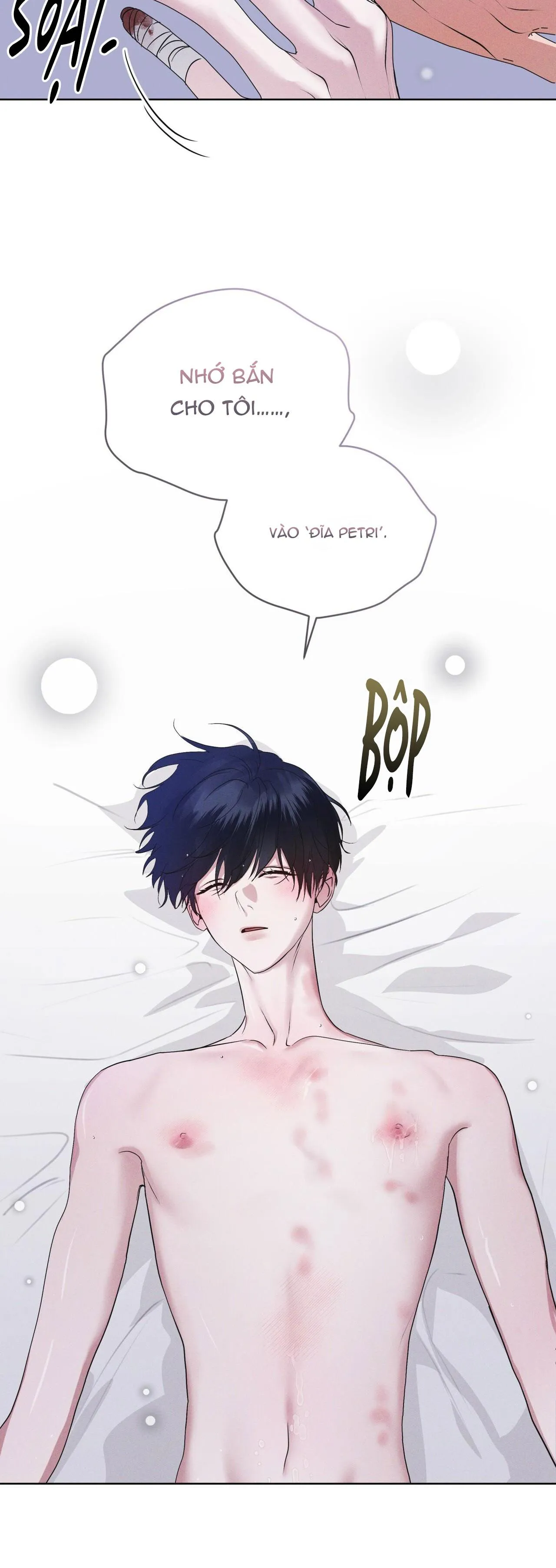 THÀNH PHỐ CẦU VỒNG Chapter 48 Trang 18