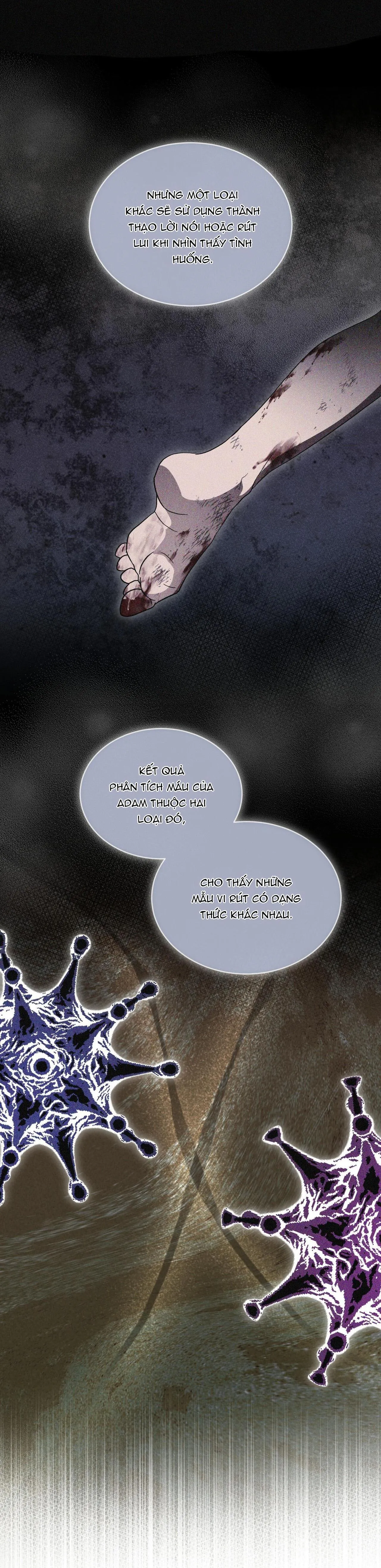 THÀNH PHỐ CẦU VỒNG Chapter 51 Trang 20