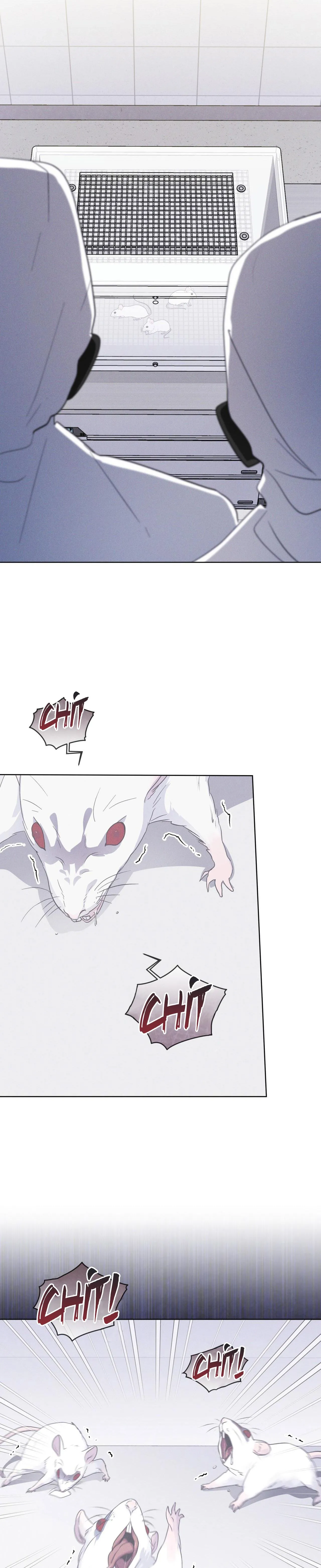 THÀNH PHỐ CẦU VỒNG Chapter 54 Trang 20