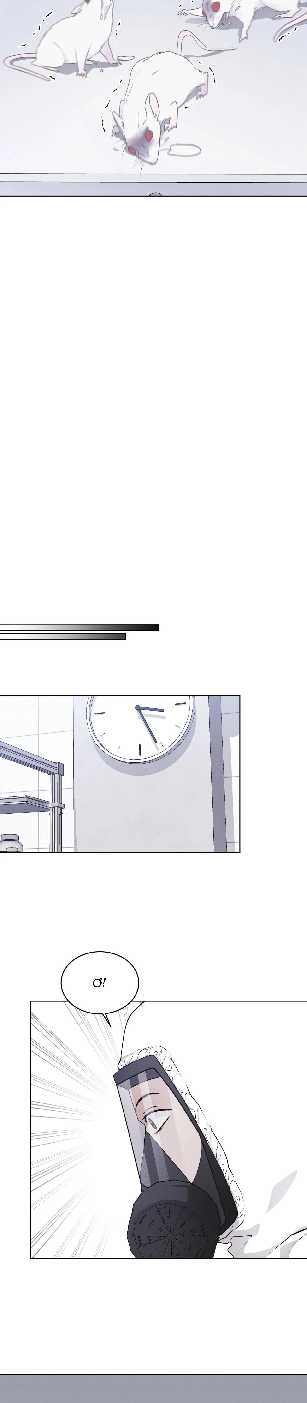 THÀNH PHỐ CẦU VỒNG Chapter 54 Trang 22