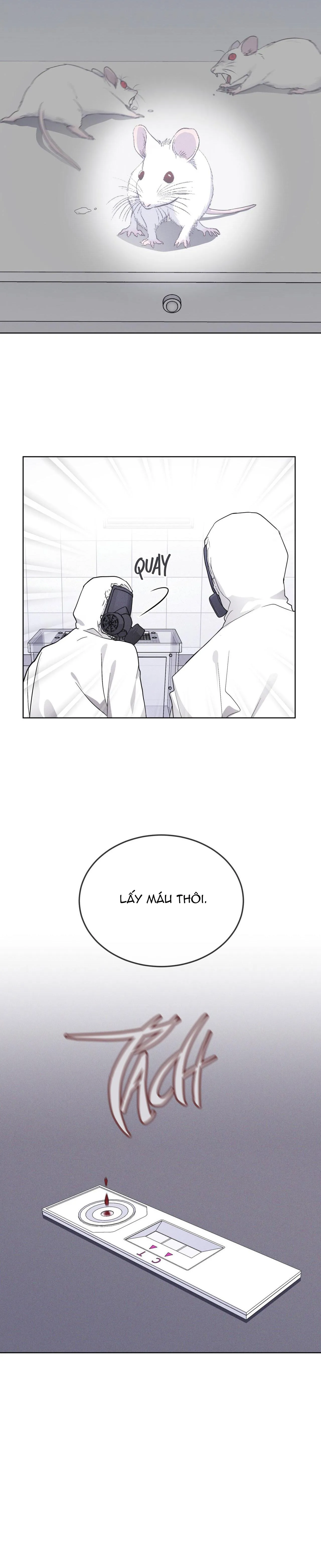 THÀNH PHỐ CẦU VỒNG Chapter 54 Trang 23