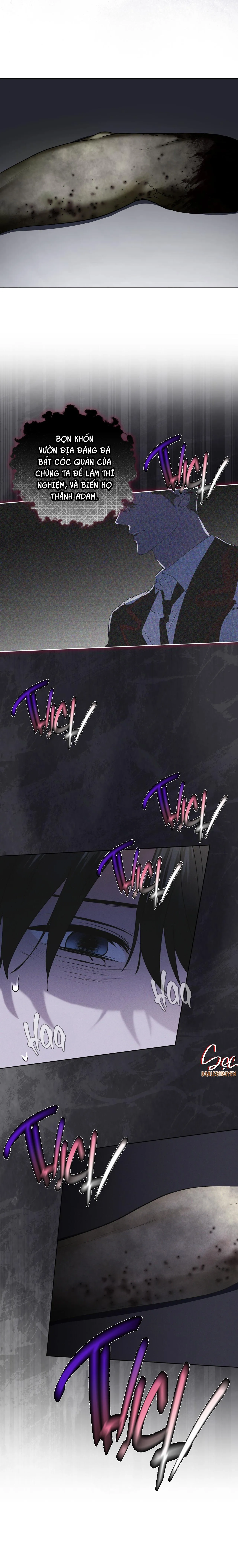 THÀNH PHỐ CẦU VỒNG Chapter 63 Trang 6