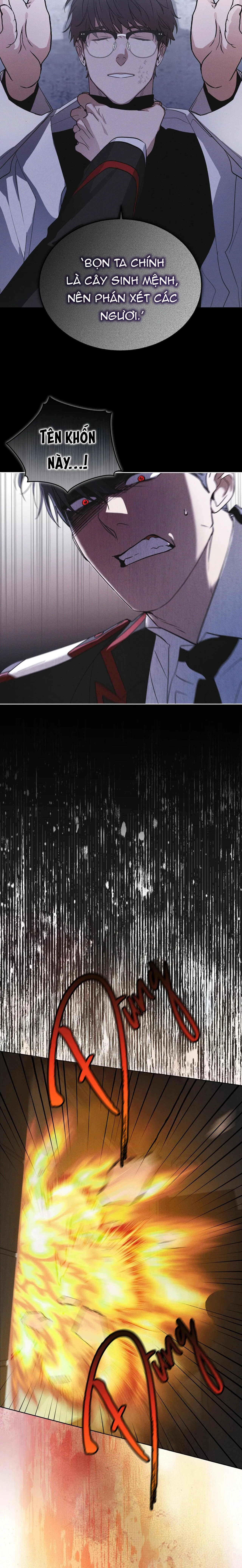 THÀNH PHỐ CẦU VỒNG Chapter 78 Trang 8