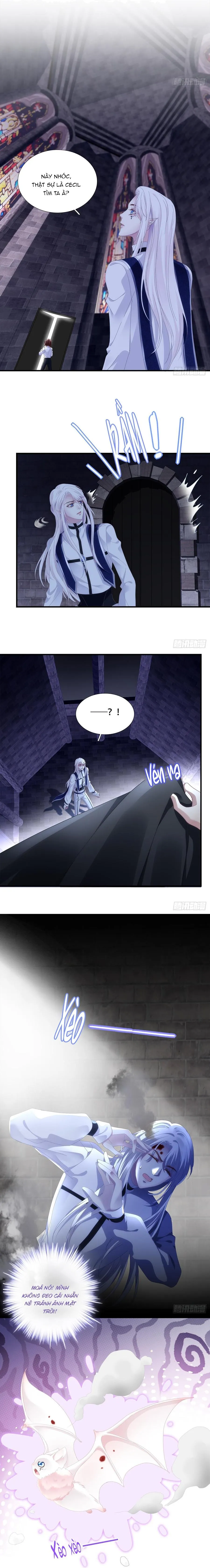 Thánh Tâm không dễ chọc Chapter 5 Trang 8