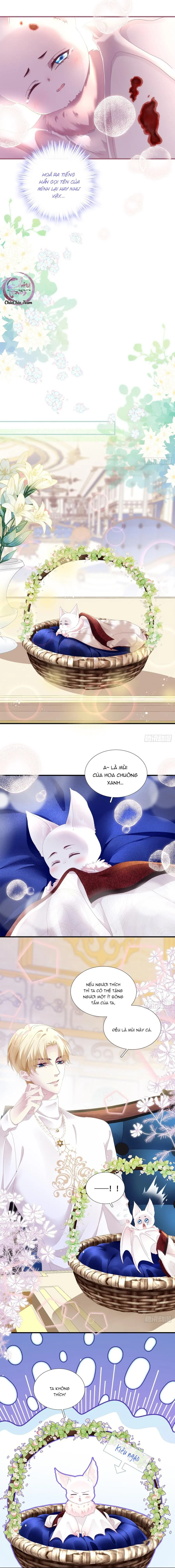 Thánh Tâm không dễ chọc Chapter 5 Trang 10