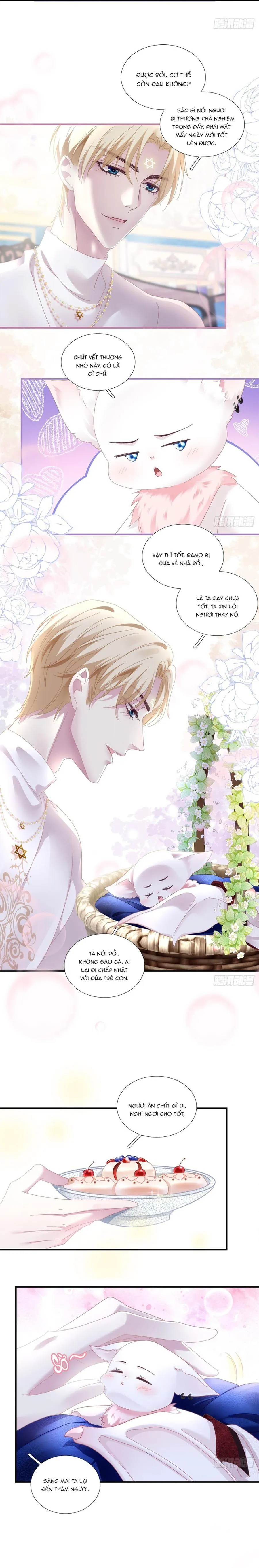 Thánh Tâm không dễ chọc Chapter 5 Trang 11