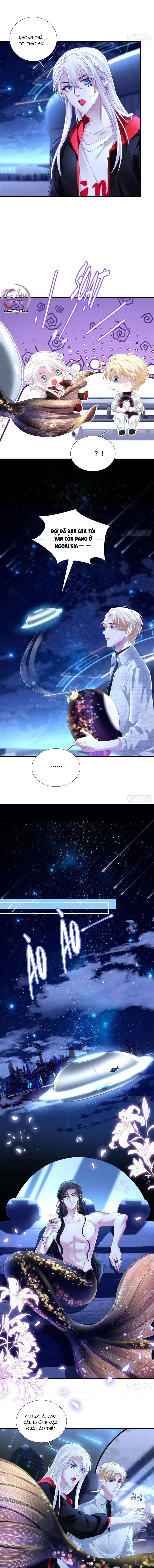 Thánh Tâm không dễ chọc Chapter 8 Trang 4