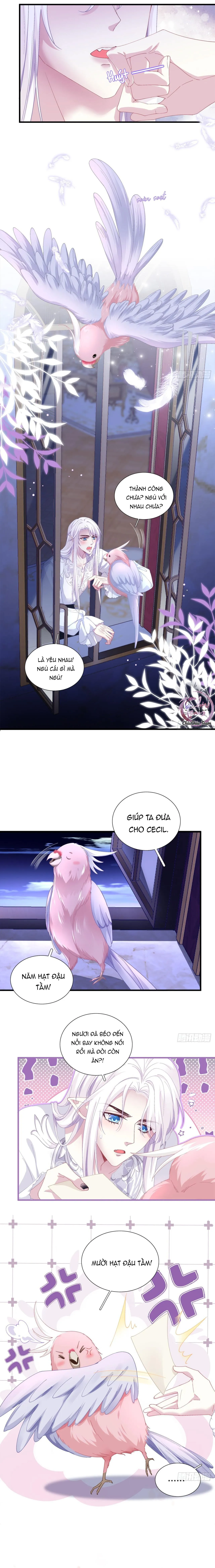 Thánh Tâm không dễ chọc Chapter 13 Trang 7