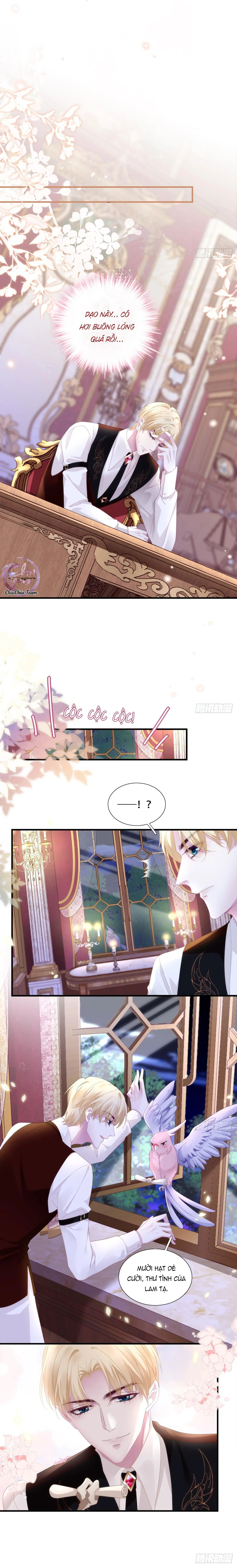 Thánh Tâm không dễ chọc Chapter 13 Trang 8