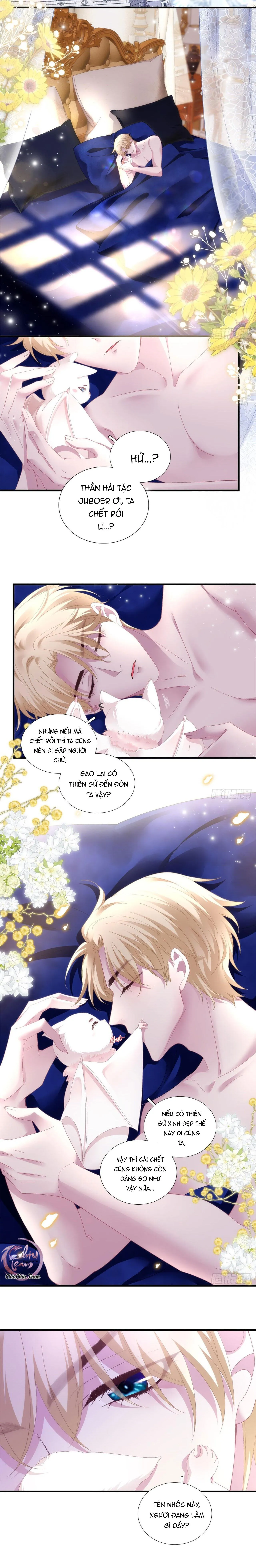 Thánh Tâm không dễ chọc Chapter 19 Trang 5