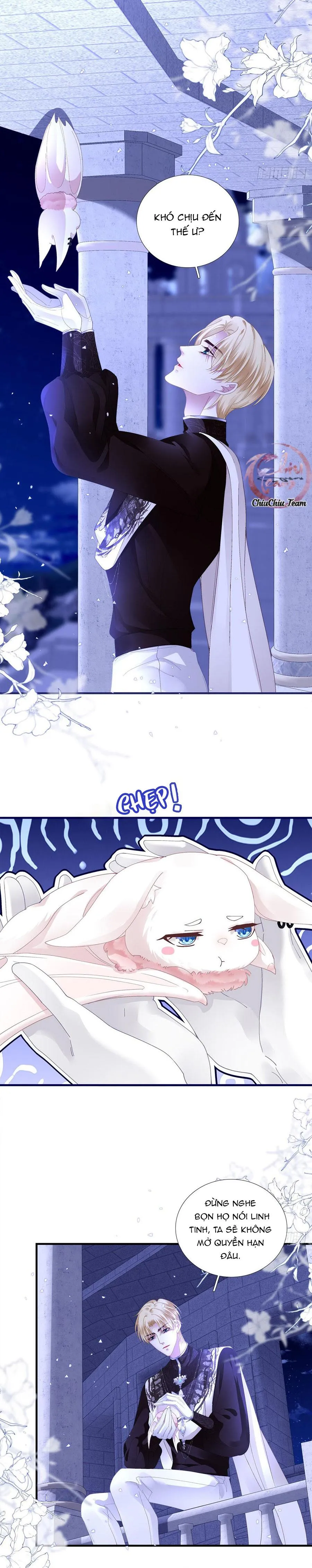 Thánh Tâm không dễ chọc Chapter 20 Trang 13