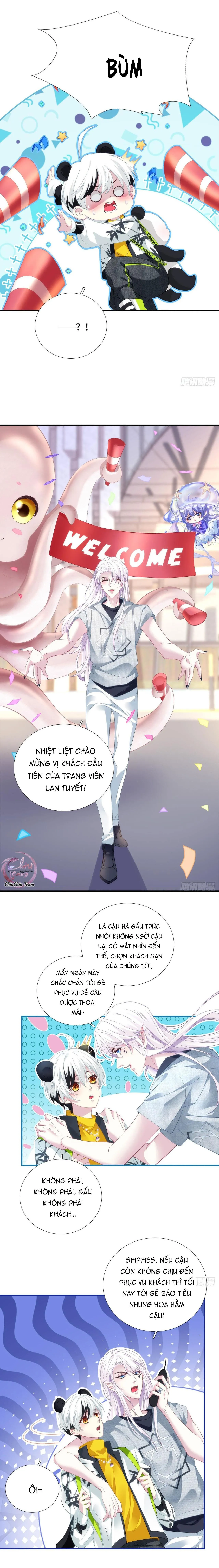 Thánh Tâm không dễ chọc Chapter 31 Trang 3