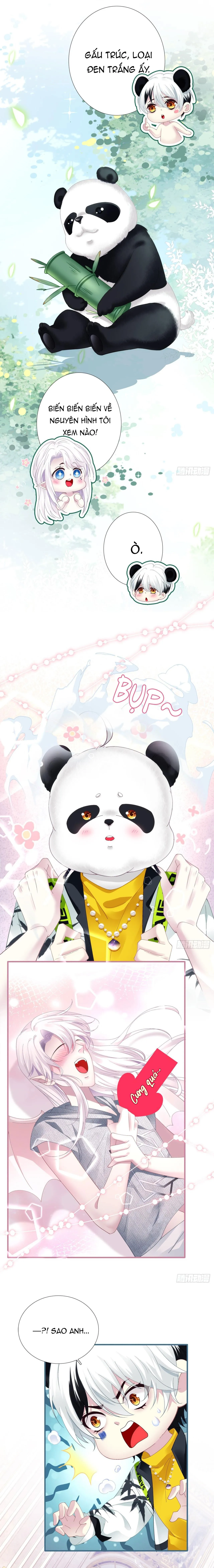 Thánh Tâm không dễ chọc Chapter 31 Trang 10