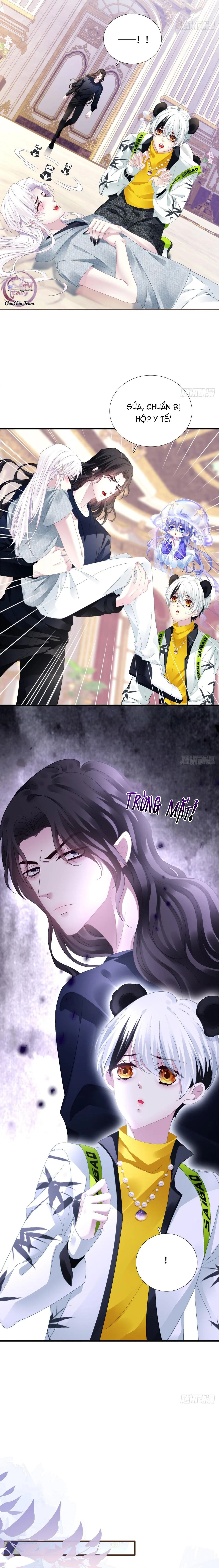 Thánh Tâm không dễ chọc Chapter 31 Trang 11