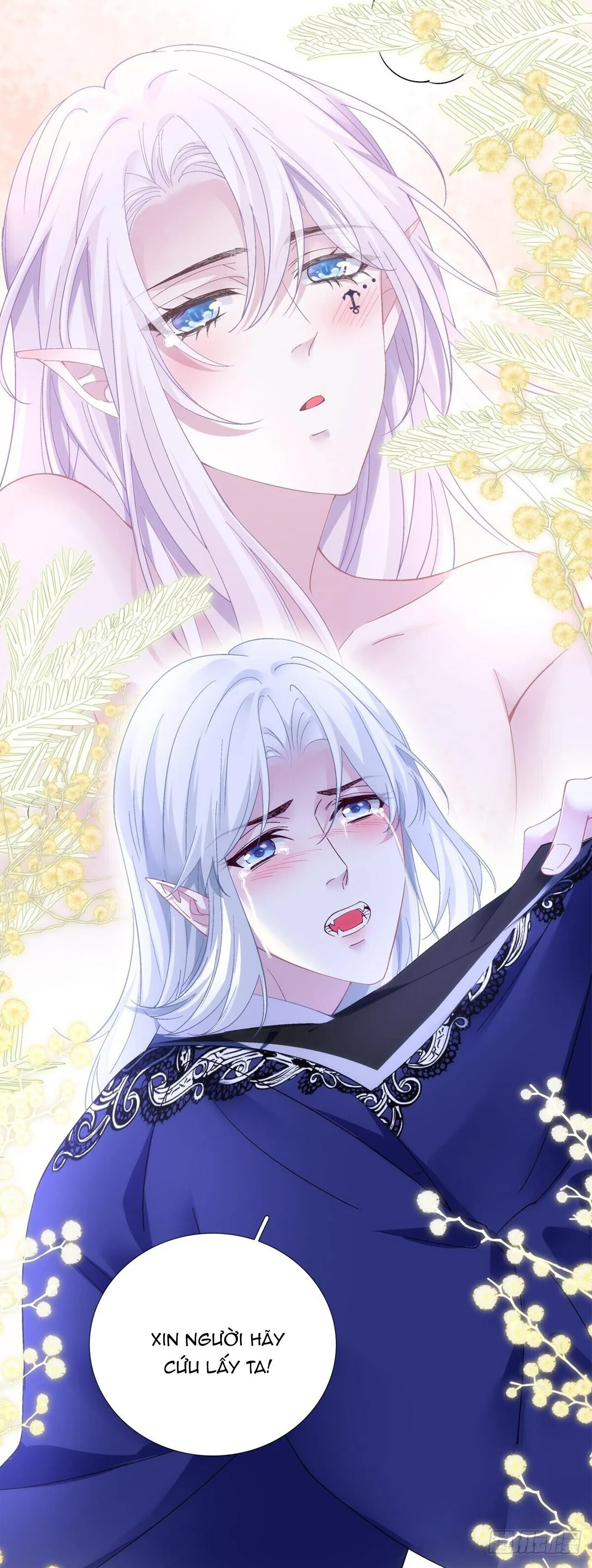 Thánh Tâm không dễ chọc Chapter 36 Trang 16