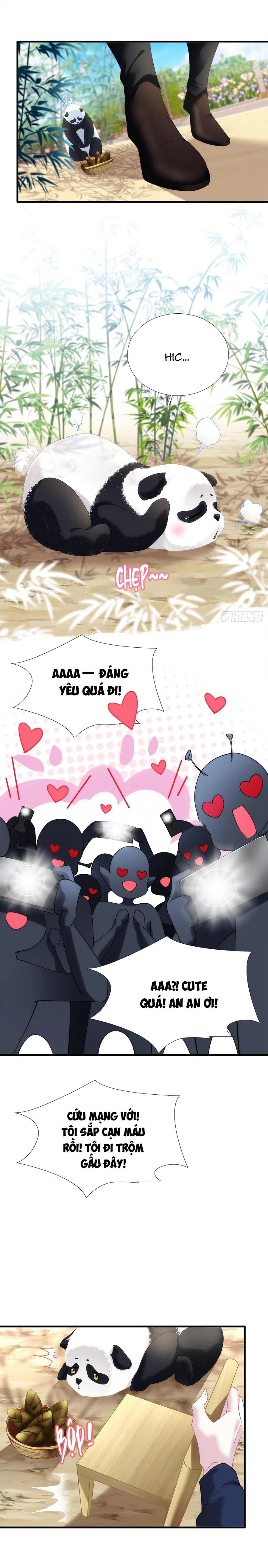 Thánh Tâm không dễ chọc Chapter 38 Trang 6