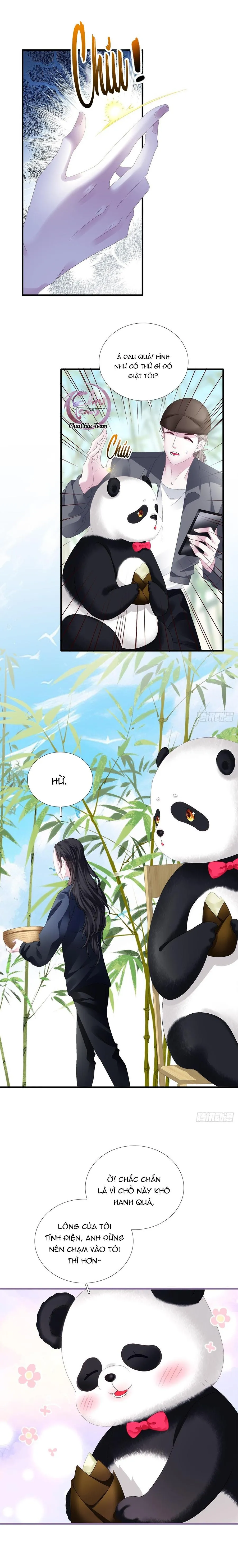 Thánh Tâm không dễ chọc Chapter 38 Trang 10