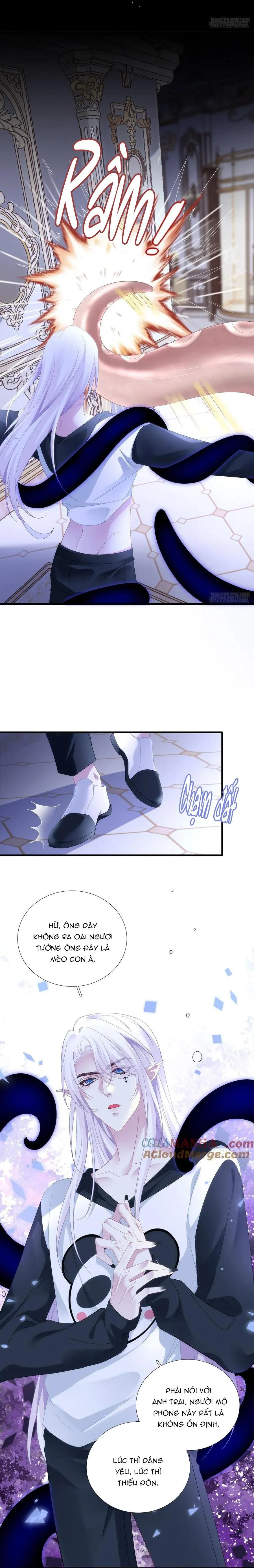 Thánh Tâm không dễ chọc Chapter 39 Trang 4