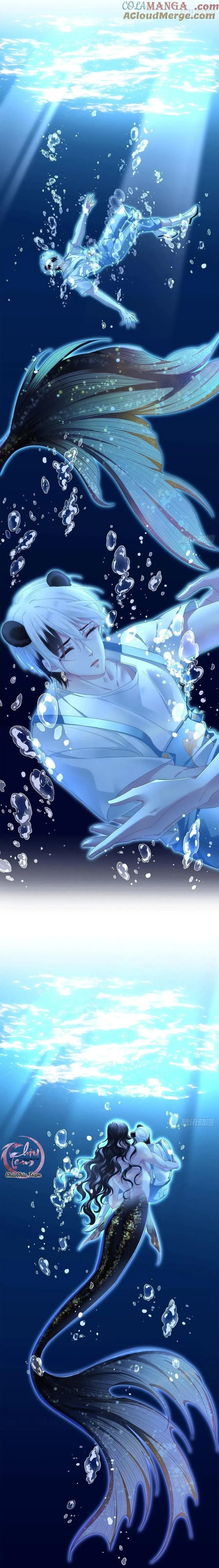 Thánh Tâm không dễ chọc Chapter 39 Trang 15