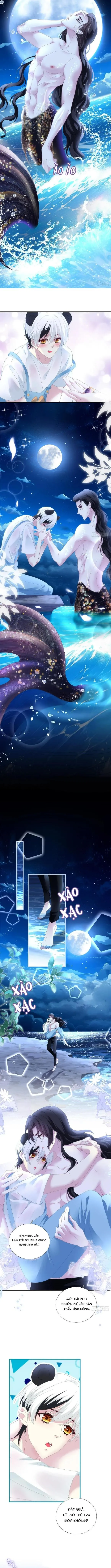 Thánh Tâm không dễ chọc Chapter 40 Trang 3