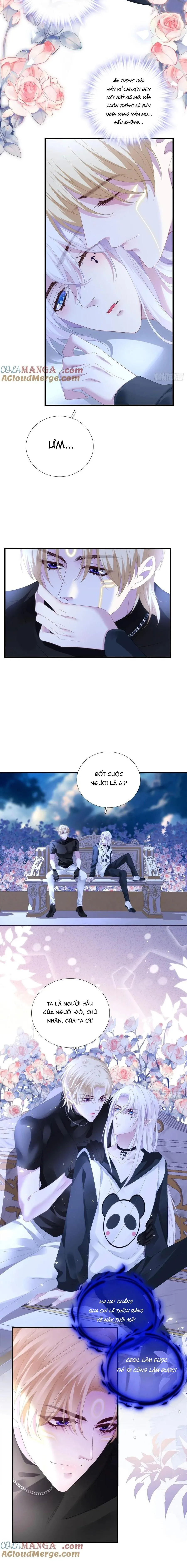 Thánh Tâm không dễ chọc Chapter 40 Trang 5