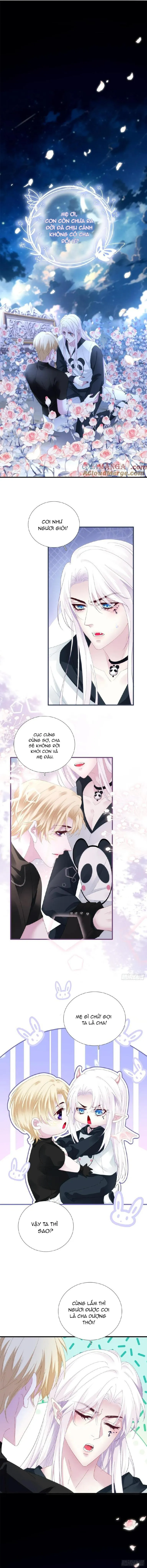 Thánh Tâm không dễ chọc Chapter 41 Trang 4