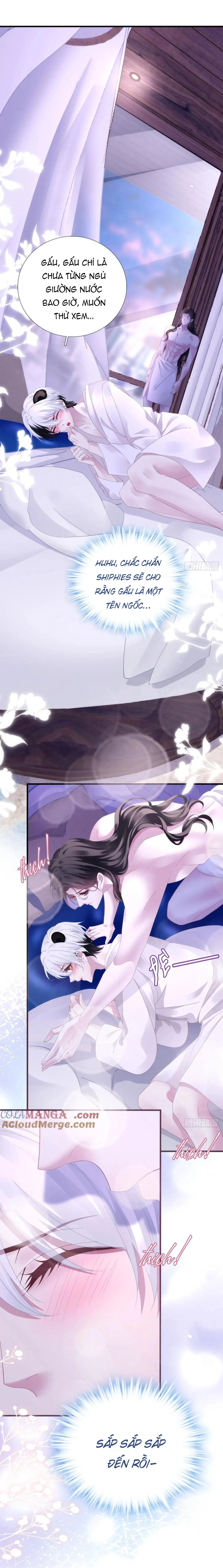 Thánh Tâm không dễ chọc Chapter 43 Trang 4