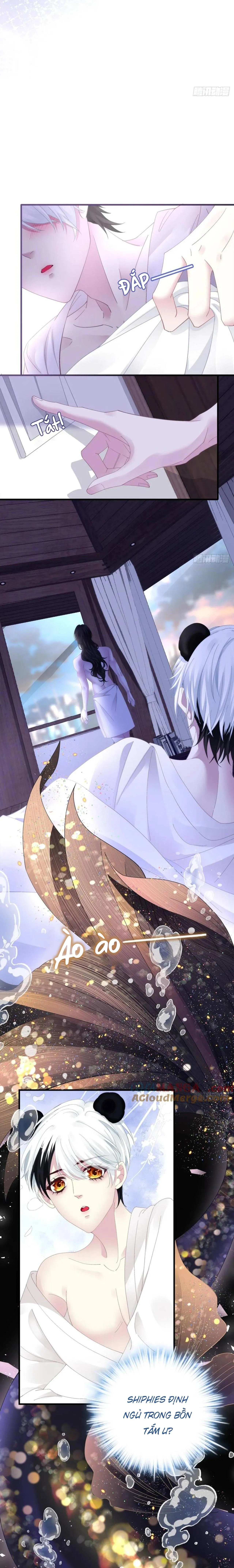 Thánh Tâm không dễ chọc Chapter 43 Trang 5