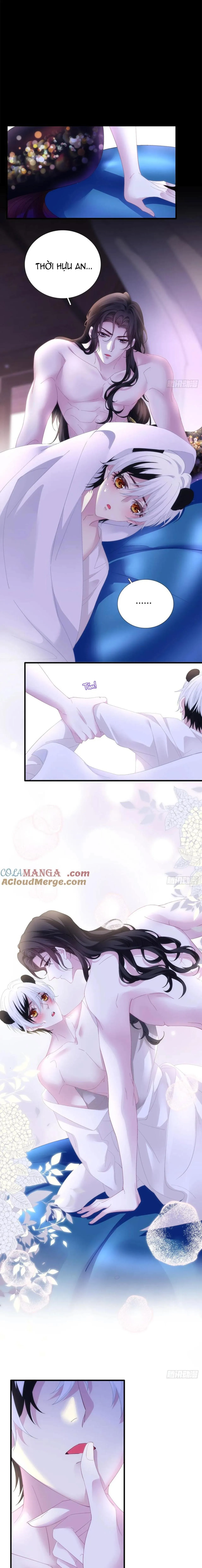 Thánh Tâm không dễ chọc Chapter 43 Trang 7