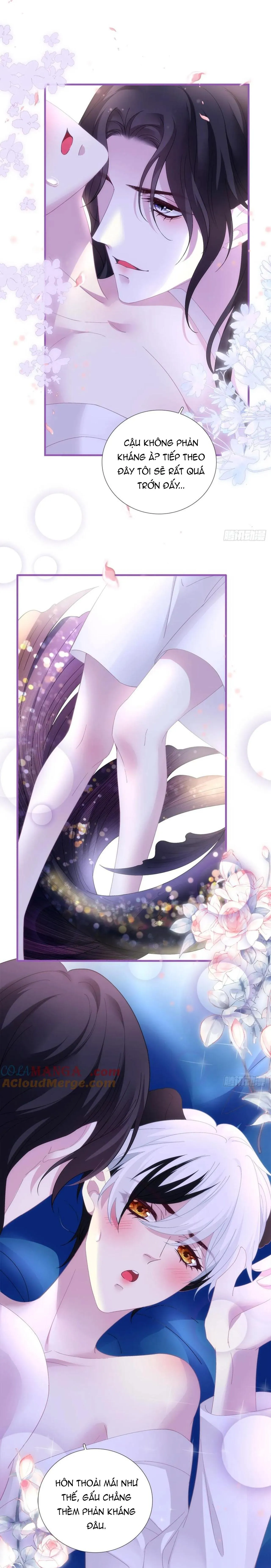 Thánh Tâm không dễ chọc Chapter 43 Trang 10