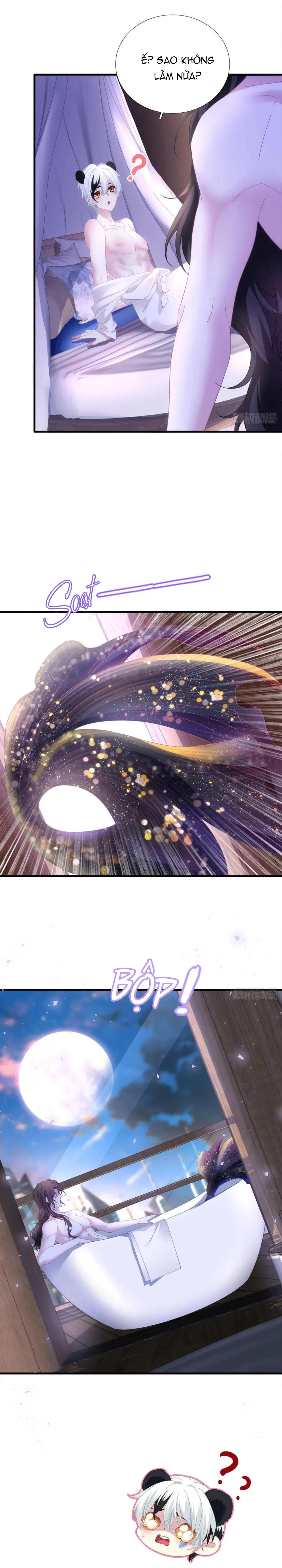 Thánh Tâm không dễ chọc Chapter 43 Trang 13