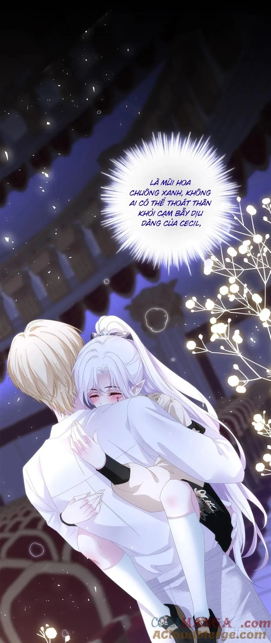 Thánh Tâm không dễ chọc Chapter 47 Trang 5