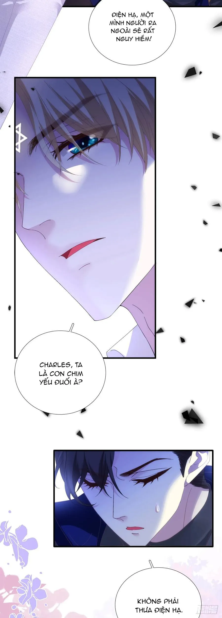 Thánh Tâm không dễ chọc Chapter 47 Trang 7