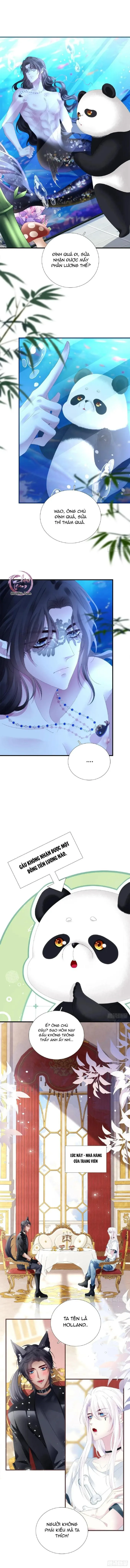Thánh Tâm không dễ chọc Chapter 51 Trang 8