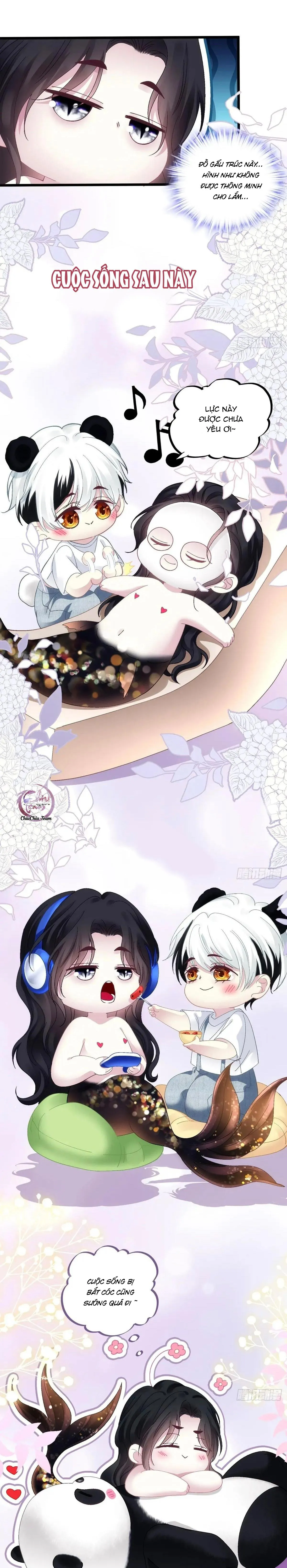 Thánh Tâm không dễ chọc Chapter 51 Trang 11