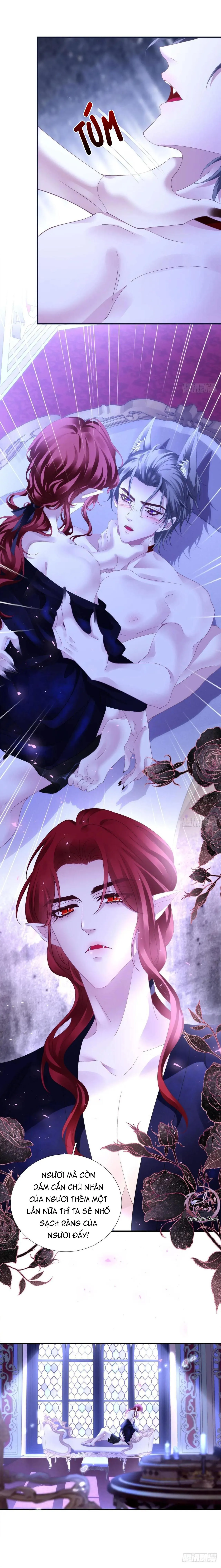 Thánh Tâm không dễ chọc Chapter 52 Trang 4