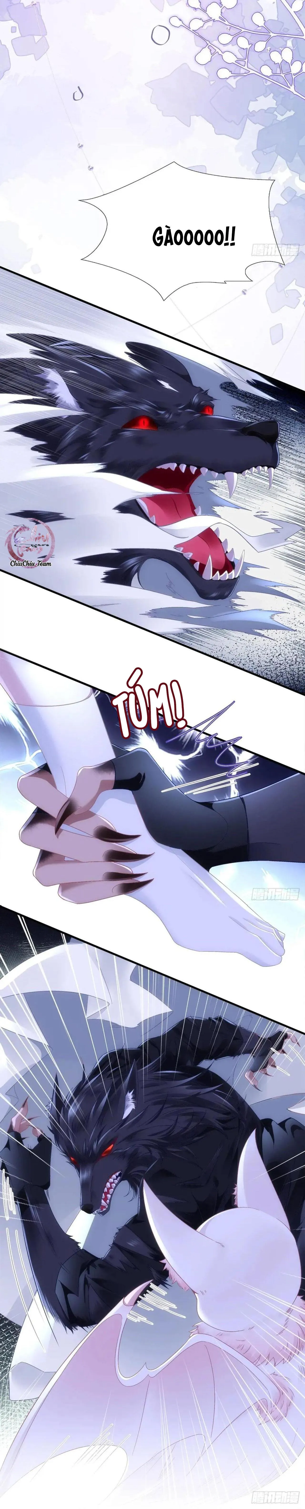 Thánh Tâm không dễ chọc Chapter 52 Trang 13