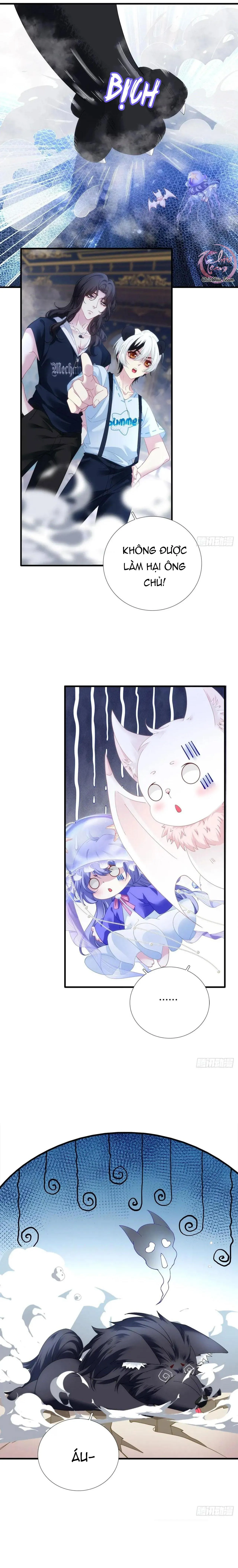 Thánh Tâm không dễ chọc Chapter 52 Trang 15