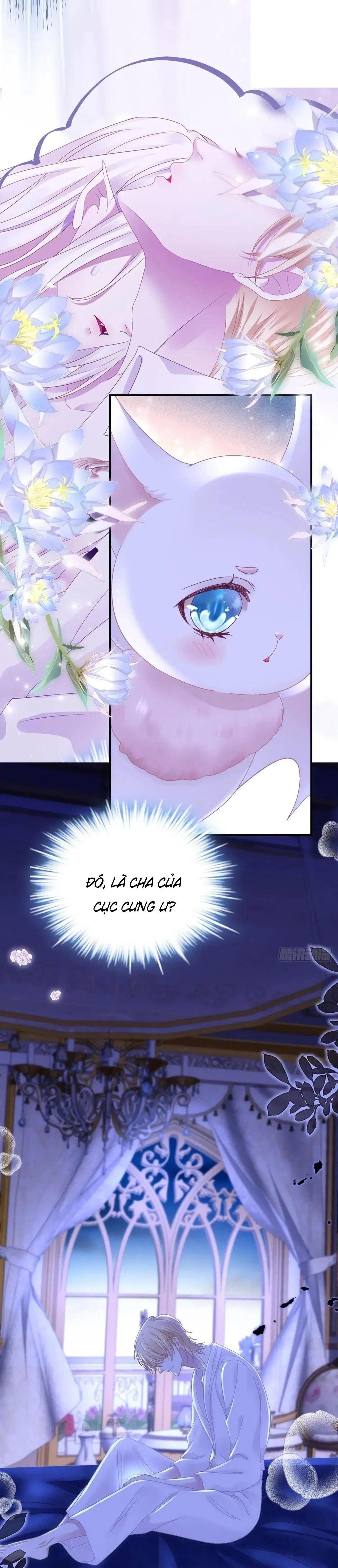 Thánh Tâm không dễ chọc Chapter 52 Trang 18