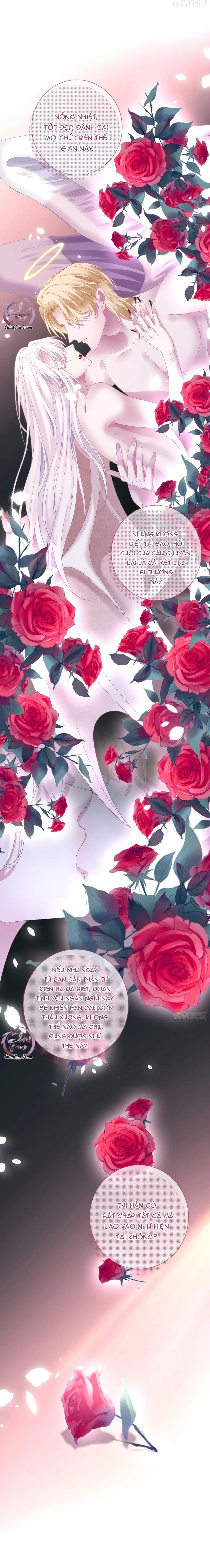 Thánh Tâm không dễ chọc Chapter 55 Trang 13