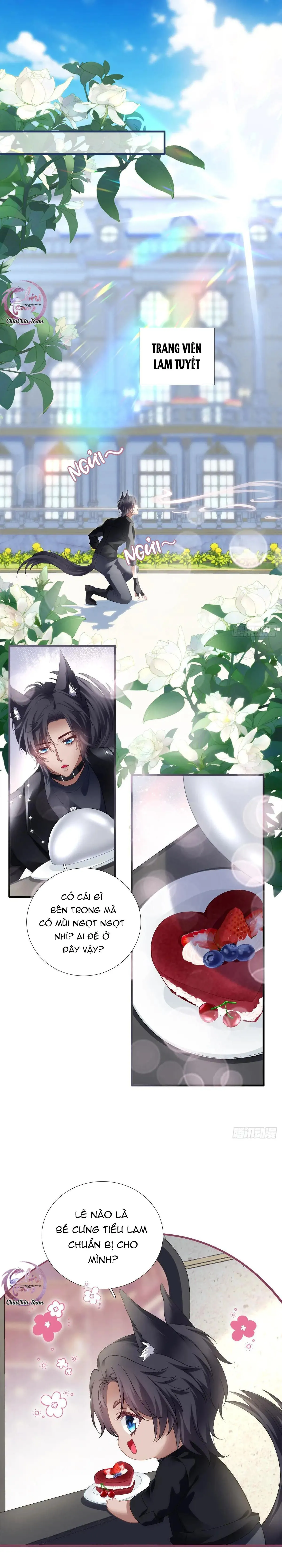 Thánh Tâm không dễ chọc Chapter 55 Trang 14