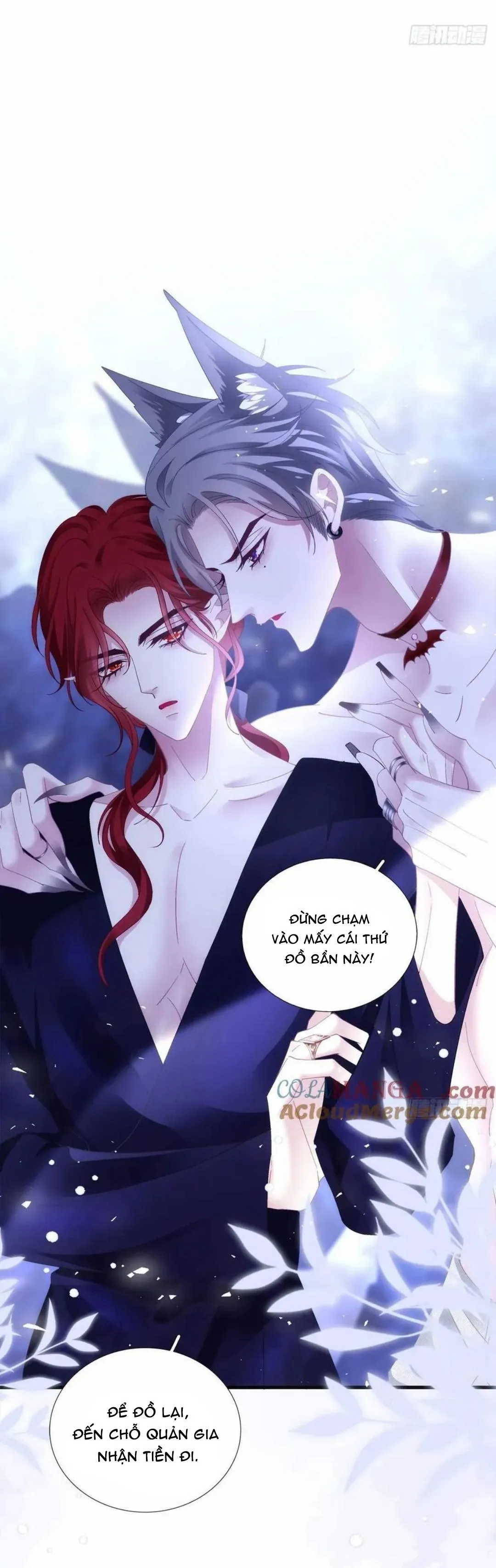 Thánh Tâm không dễ chọc Chapter 56 Trang 3