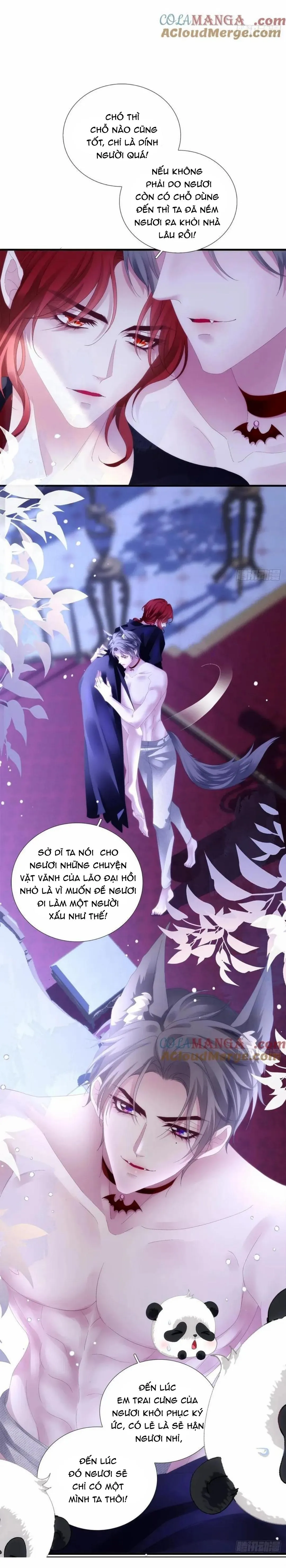 Thánh Tâm không dễ chọc Chapter 56 Trang 5