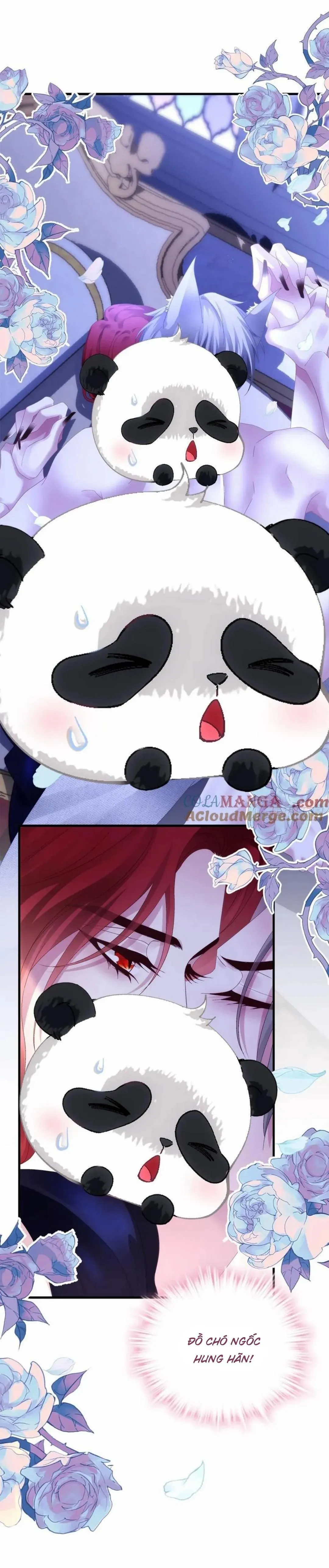 Thánh Tâm không dễ chọc Chapter 56 Trang 6